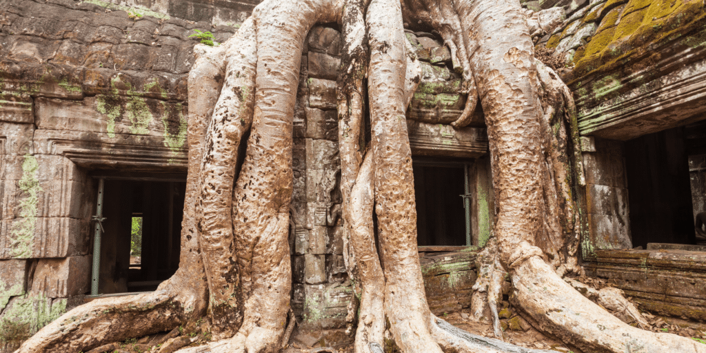 Ta Prohm