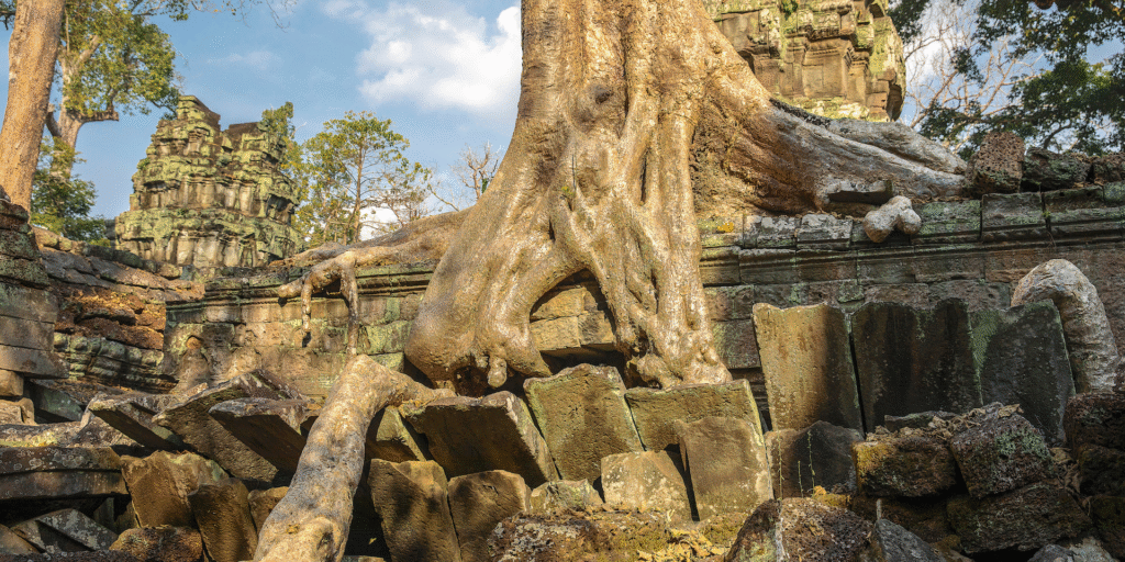 Ta Prohm3