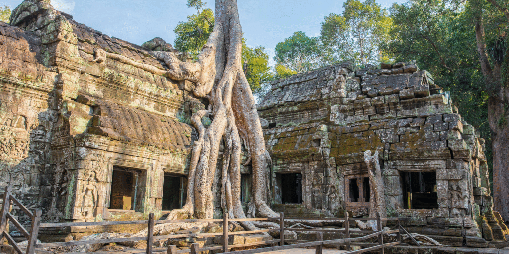 Ta Prohm5