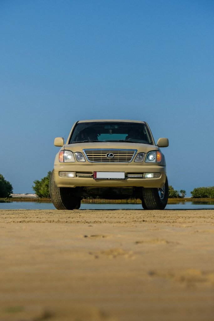 pexels-pareekshith-indeever-155333695-10697774