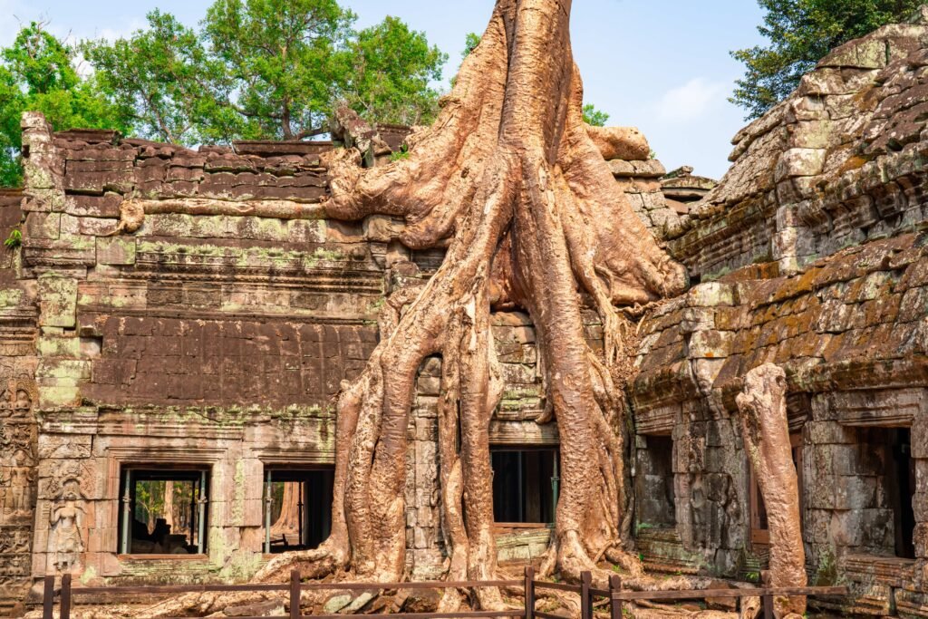 Ta Prohm (1)