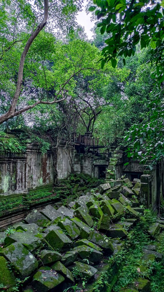 IMG_20230917_160728 (2)