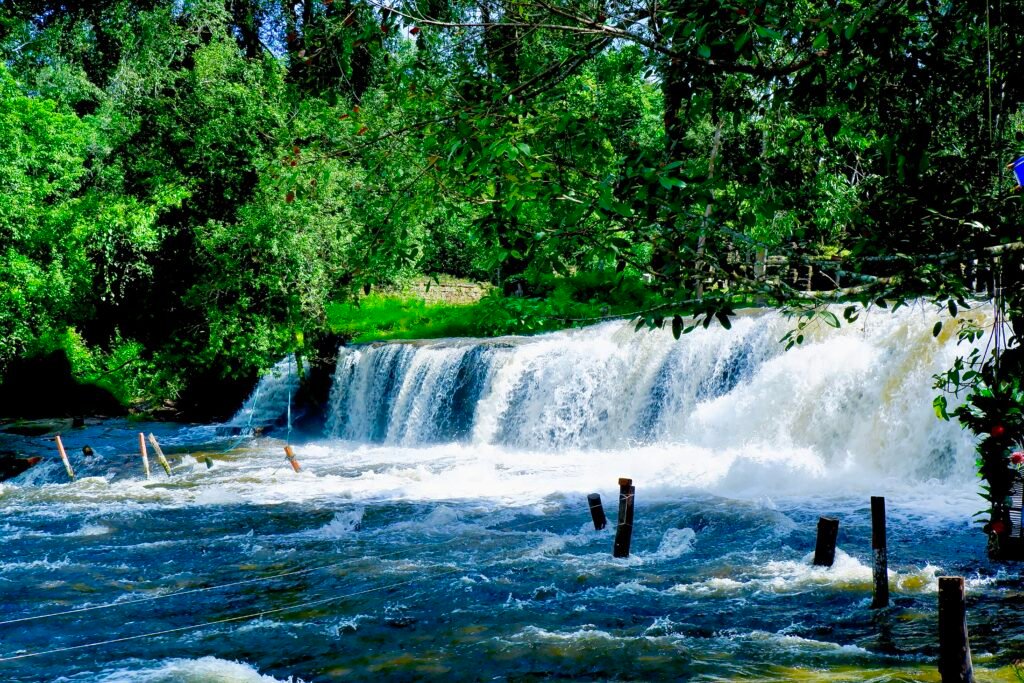 Level 1 water fall you can swim