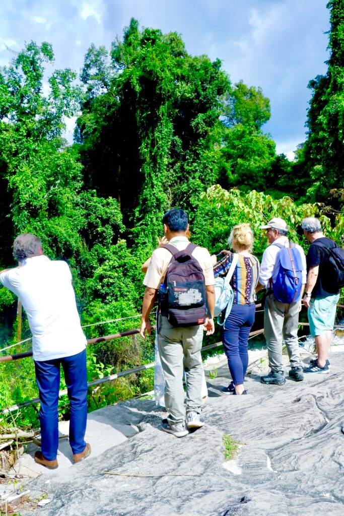 Small Group tour with tour guide