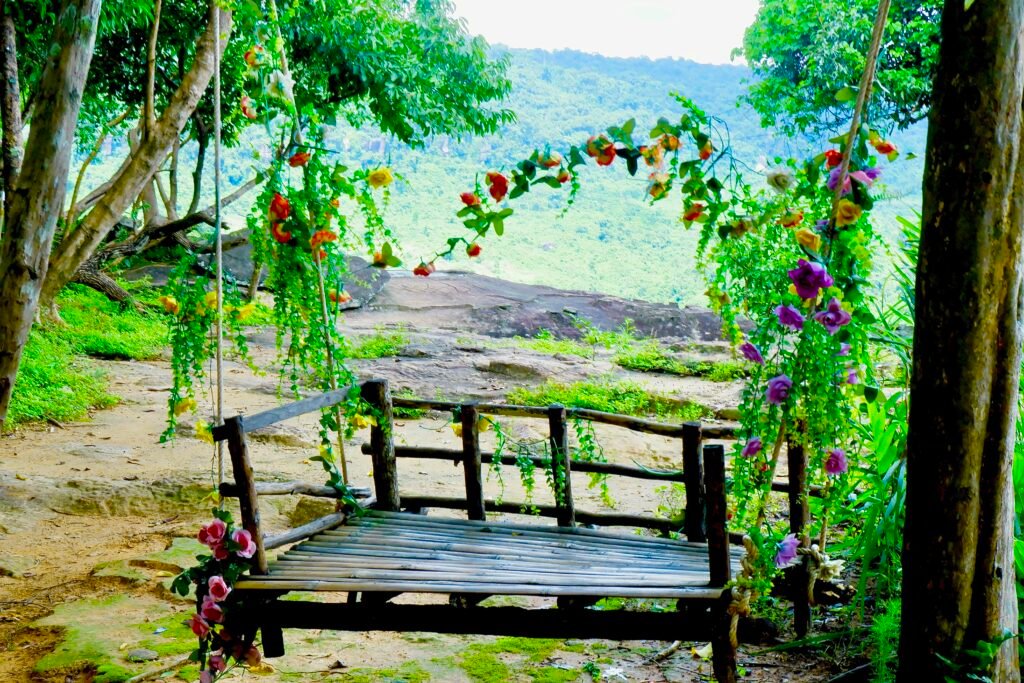 The view at mountain